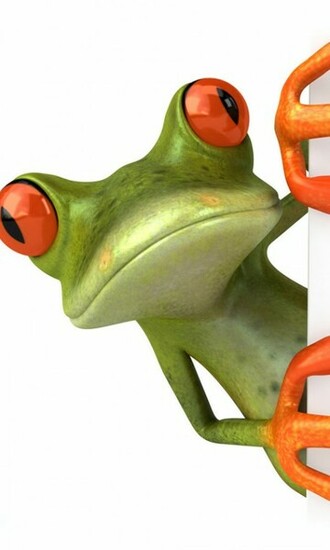 Cartoon Frog Live Wallpaper Screenshot
