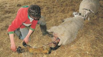 Young People From Non Farming Background Get New Opportunities