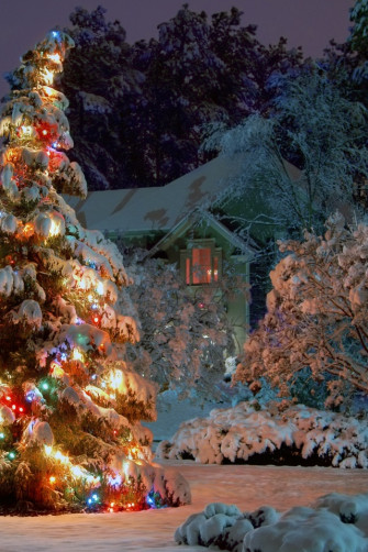 Outdoor Christmas Tree iPhone Wallpaper
