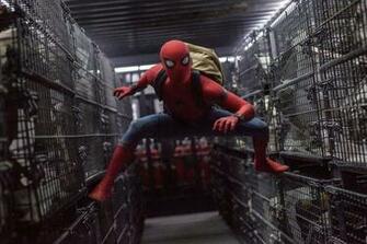 Spider Man Homecoming HD Wallpaper Background Image