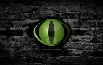 Reptile Wallpaper