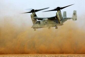 Best Osprey Wallpaper