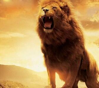 Aslan The Chronicles Of Narnia Flikie Wallpaper