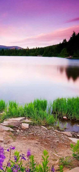 Nature Scenery iPhone Xs X HD 4k Wallpaper