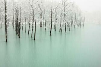 This Pond Is A Beautiful Which Changes Colors Every Day