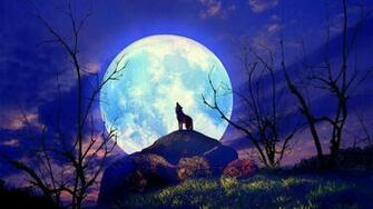 HD Beautiful Wallpaper Background For