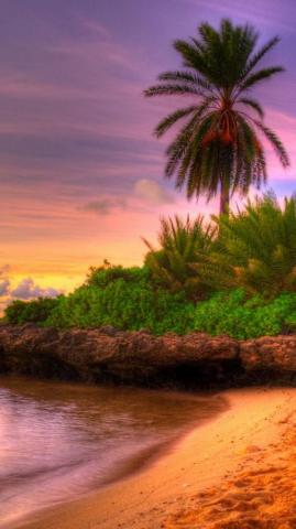 Beautiful Nature iPhone Wallpaper Summer