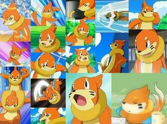 Buizel Wallpaper By Rioluandlucario