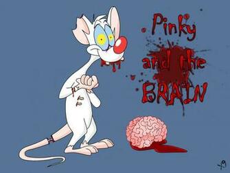 Pinky And The Brain Picture HD Wallpaper