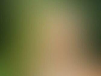 Easy Ways To Blur The Background In Your iPhone Photos