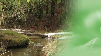 Early Spring Stream Wallpaper Desktop