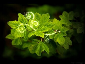 Go Green Wallpaper