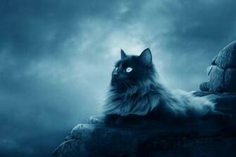Dangerous Animated Cat Wallpaper Best HD