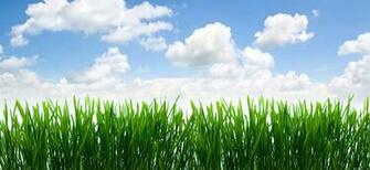 Background Sprinkler Solutions Irrigation