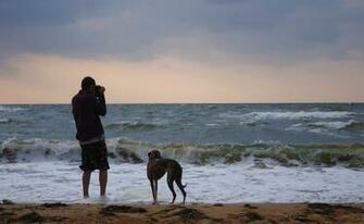 Wallpaper Man And Dog At Sea