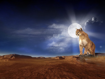 Photoshop HD Wallpaper