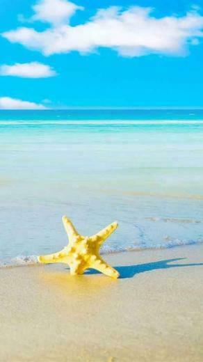 Conspicuous iPhone5 Summer Wallpaper