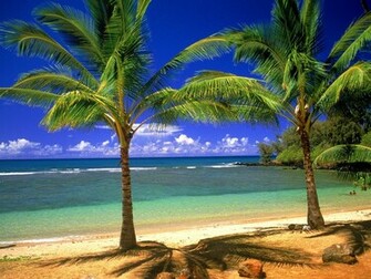 Tropical Lagoon Wallpaper HD