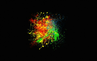 Paint Splatter By Wmaltbyart