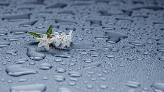 4k Rain Wallpaper