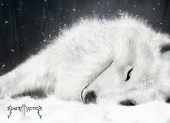 Wolf Logo Wallpaper Sonata Arctica