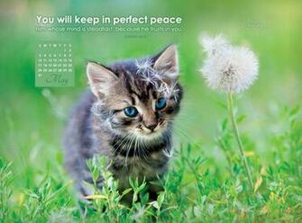 May Perfect Peace Desktop Calendar Monthly Calendars
