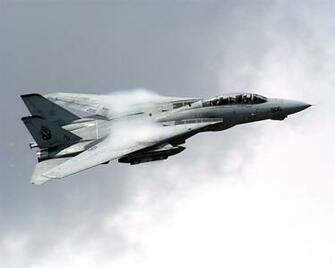 Tomcat Wallpaper