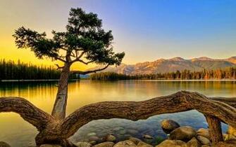 Wide Screen Desktop HD Wallpaper Atoz