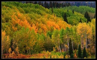 New England Fall Desktop Wallpaper In HD