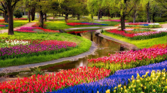 Spring Nature Pictures Wallpaper