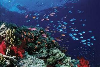 Top World Pic Great Barrier Reef