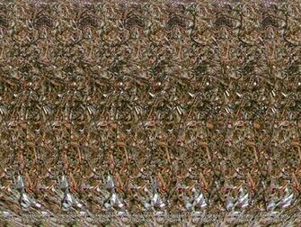 Stereogram Wallpaper Wallpoper
