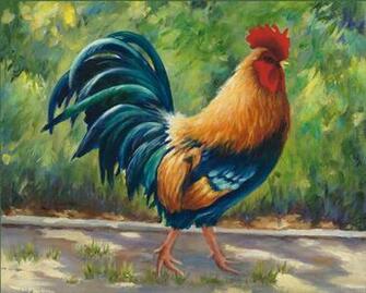 Rooster Pictures Wallpaper Cool HD