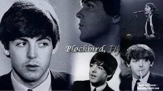 Paul Mccartney Wallpaper I By Beeeatle