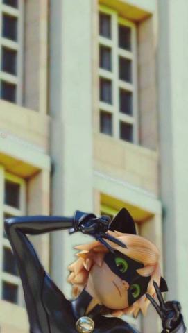 Cat Noir Wallpaper