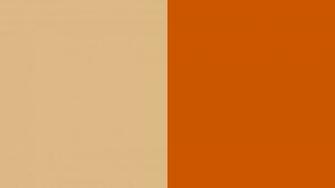 Resolution Burlywood And Burnt Orange Solid Two Color Background