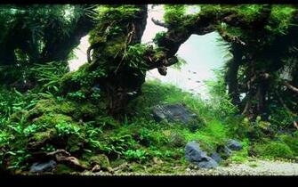 Fish Aquarium Wallpaper