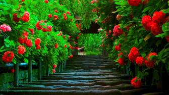 Beautiful Wallpaper For Desktop Full Screen