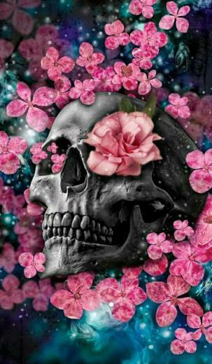 Ammie Asklund On My Apple Decor In Skull Wallpaper