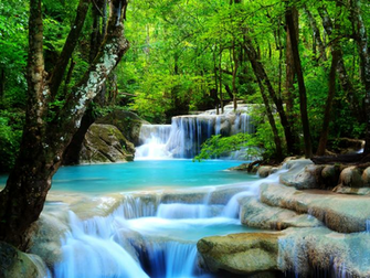 Forest Waterfall Wallpaper What We Have Learned From Romney Ryan