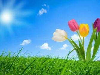 Spring Desktop Background HD Wallpaper