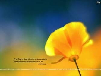 Motivational Wallpaper On Beautiful The Flower That Blooms In