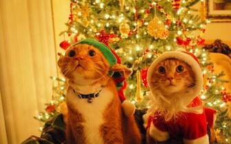Desktop Christmas Wallpaper Image