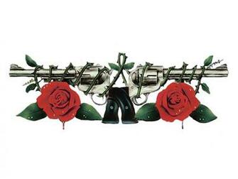 Rose Wallpaper Background Name Italy HD