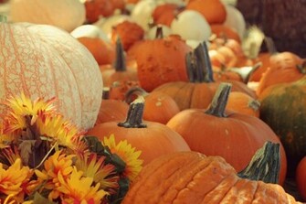 Beautiful Cute Fall Photo Photography Image On Favim