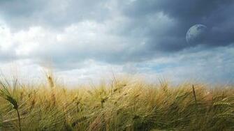 Field Of Dreams HD Wallpaper Theme Bin Customization
