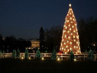 National Lampoons Christmas Vacation Mobile Wallpaper