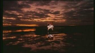 Silverchair Image Tomorrow HD Wallpaper And Background