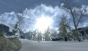 Winter Sun Wallpaper