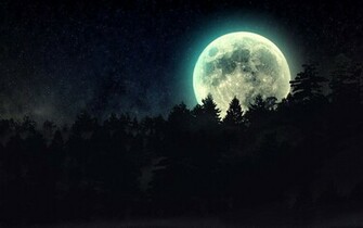 Full Moon Beyond The Pines Wallpaper